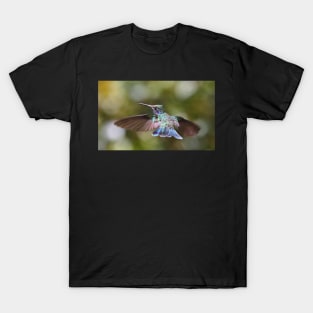 Green Violetear Hummingbird T-Shirt